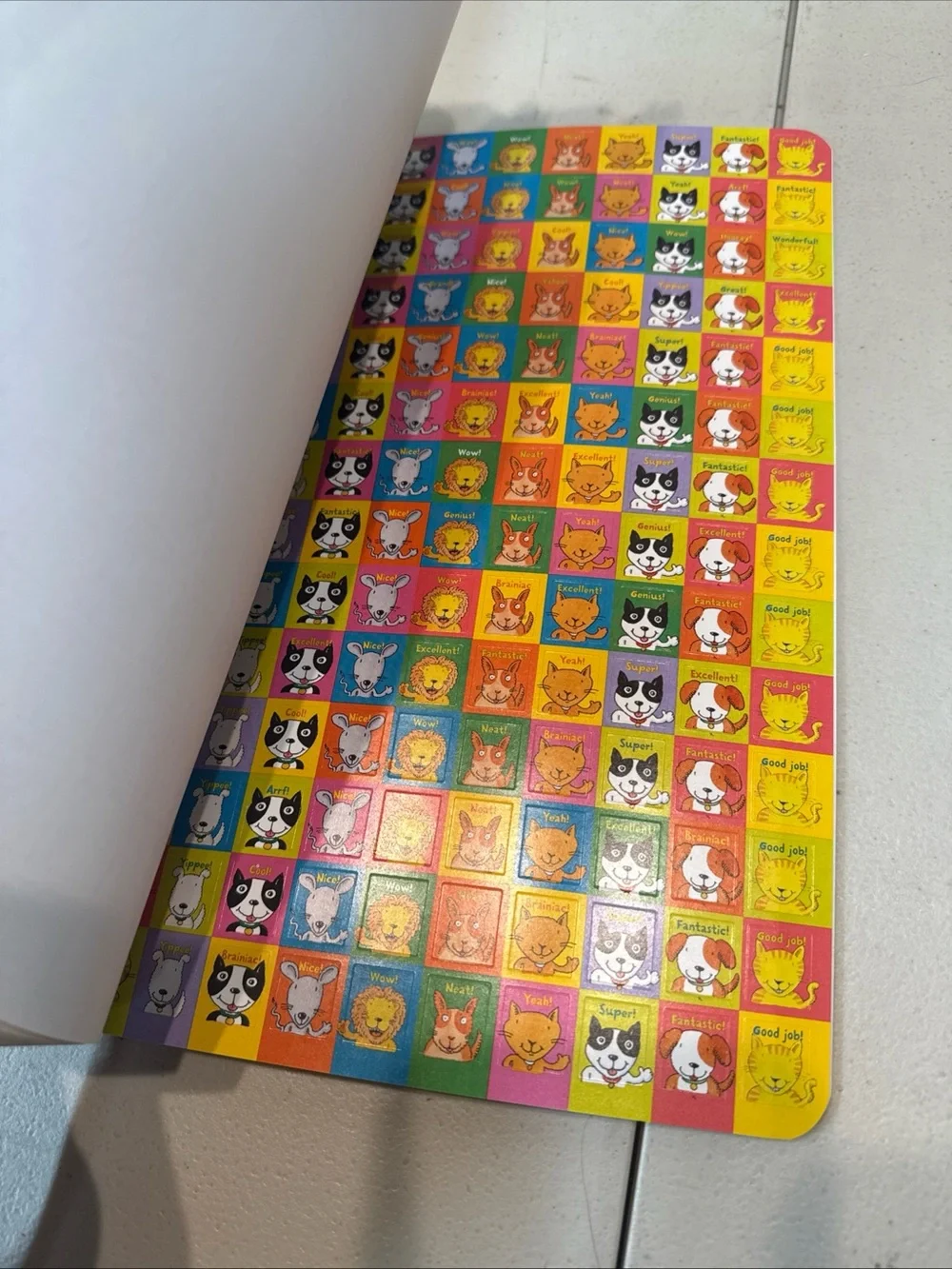 brain quest workbook grade kindergarden